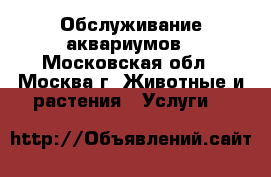 Обслуживание аквариумов - Московская обл., Москва г. Животные и растения » Услуги   
